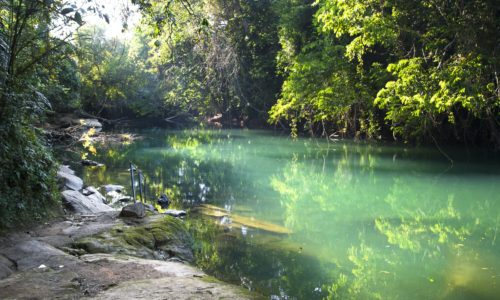 Rio Grande and Dense Jungle in Belize